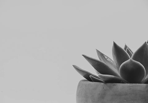 Servicios feature 4.jpg