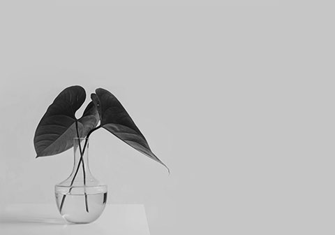 Servicios feature 5.jpg