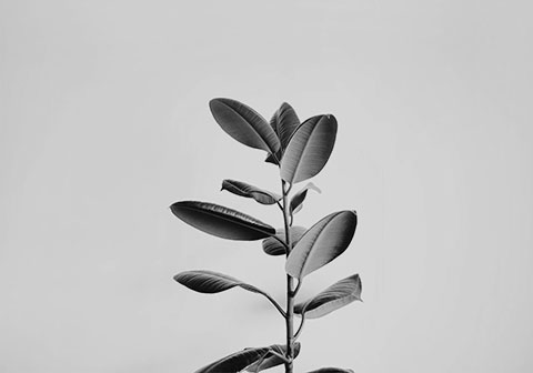 Servicios feature 6.jpg